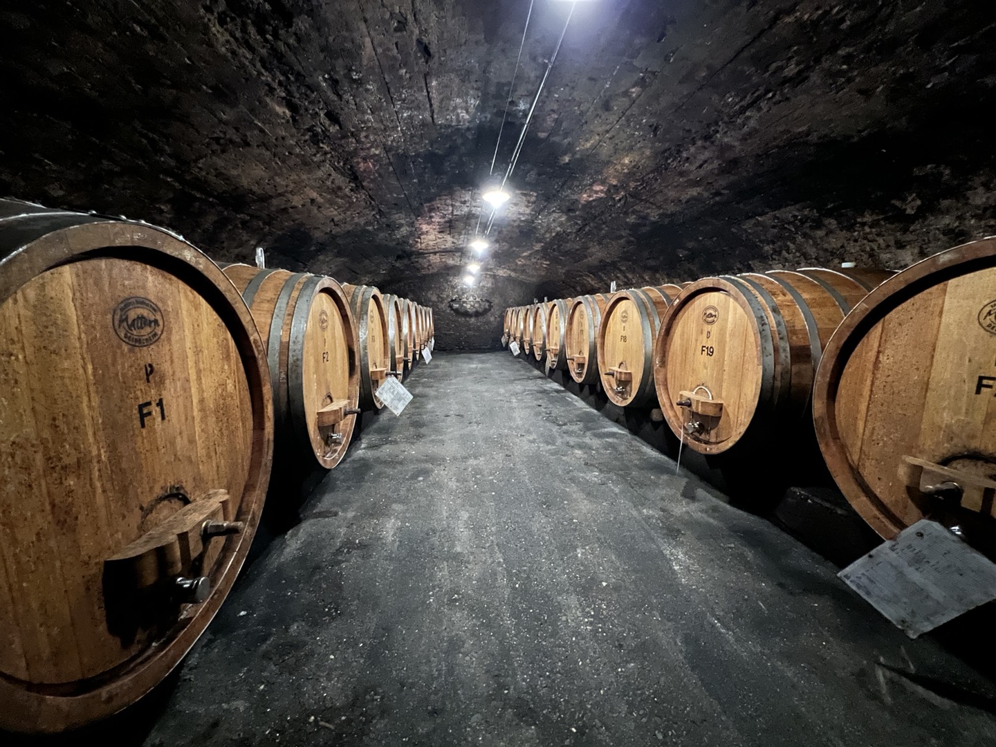 stellavino_img2